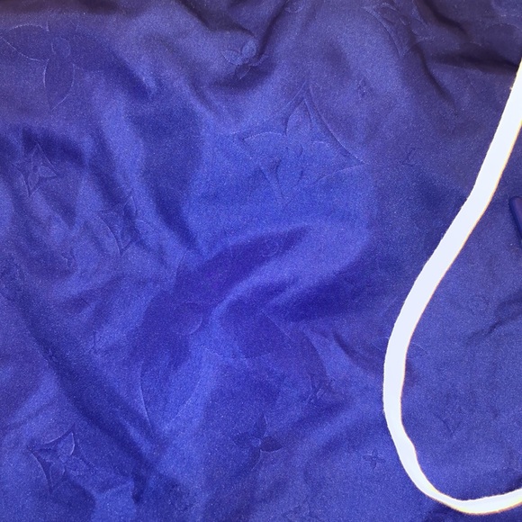 Louis Vuitton Swim Trunks - Picture 6 of 10